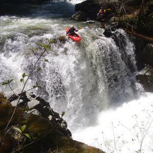 Meet your Posher, Nieman